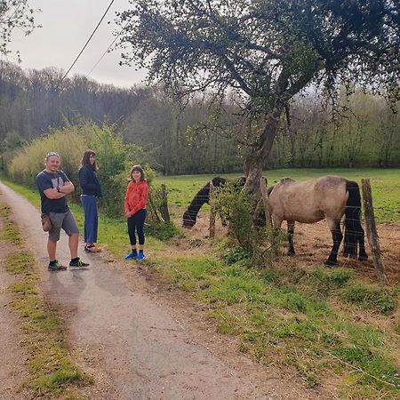 Saint-Amand-en-Puisaye Ferme Equestre & Chambres D'Hotes Gateau Stables Proche Guedelon المظهر الخارجي الصورة