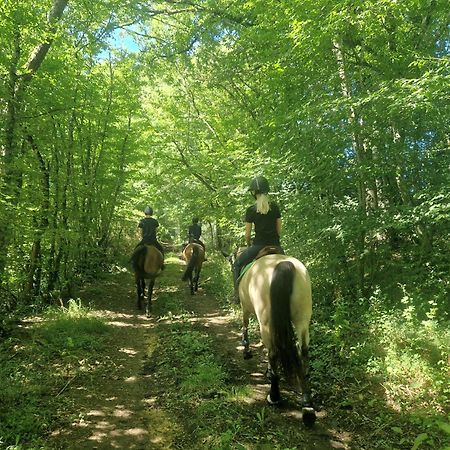 Saint-Amand-en-Puisaye Ferme Equestre & Chambres D'Hotes Gateau Stables Proche Guedelon المظهر الخارجي الصورة