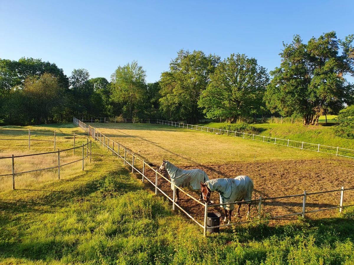 Saint-Amand-en-Puisaye Ferme Equestre & Chambres D'Hotes Gateau Stables Proche Guedelon المظهر الخارجي الصورة