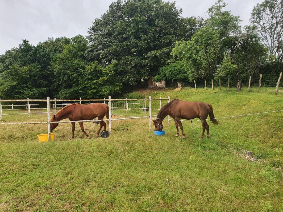 Saint-Amand-en-Puisaye Ferme Equestre & Chambres D'Hotes Gateau Stables Proche Guedelon المظهر الخارجي الصورة