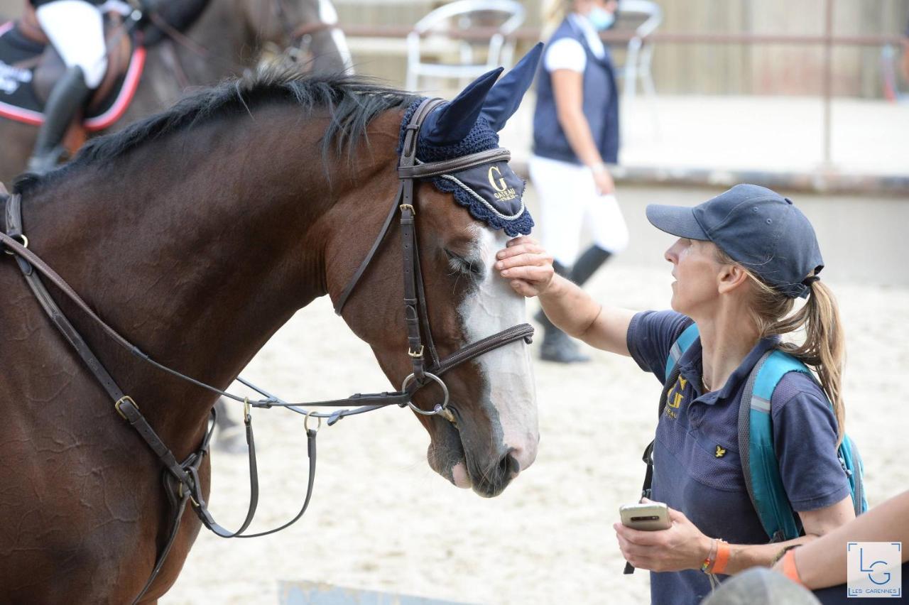 Saint-Amand-en-Puisaye Ferme Equestre & Chambres D'Hotes Gateau Stables Proche Guedelon المظهر الخارجي الصورة