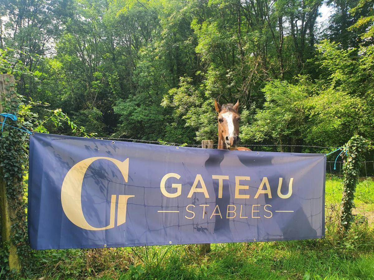 Saint-Amand-en-Puisaye Ferme Equestre & Chambres D'Hotes Gateau Stables Proche Guedelon المظهر الخارجي الصورة
