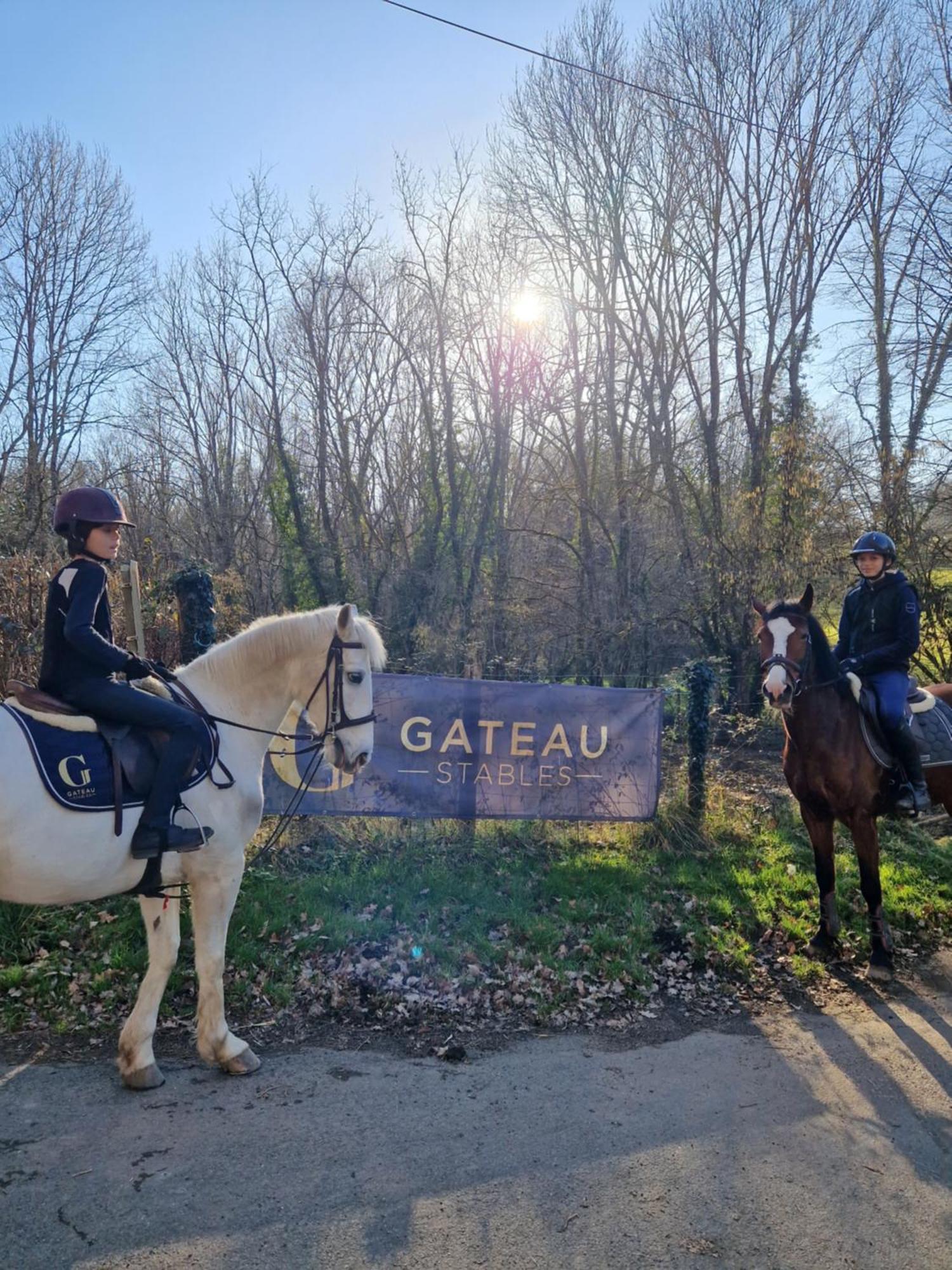 Saint-Amand-en-Puisaye Ferme Equestre & Chambres D'Hotes Gateau Stables Proche Guedelon المظهر الخارجي الصورة