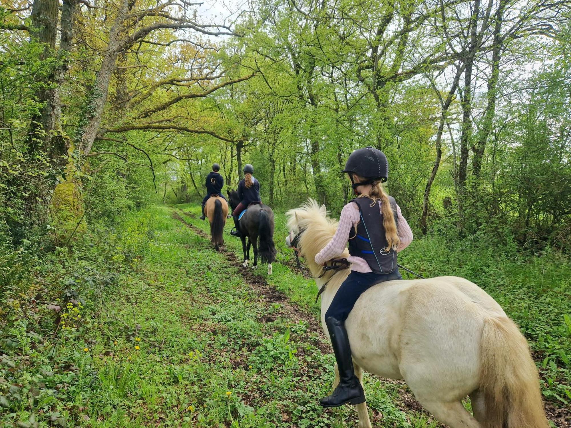 Saint-Amand-en-Puisaye Ferme Equestre & Chambres D'Hotes Gateau Stables Proche Guedelon المظهر الخارجي الصورة