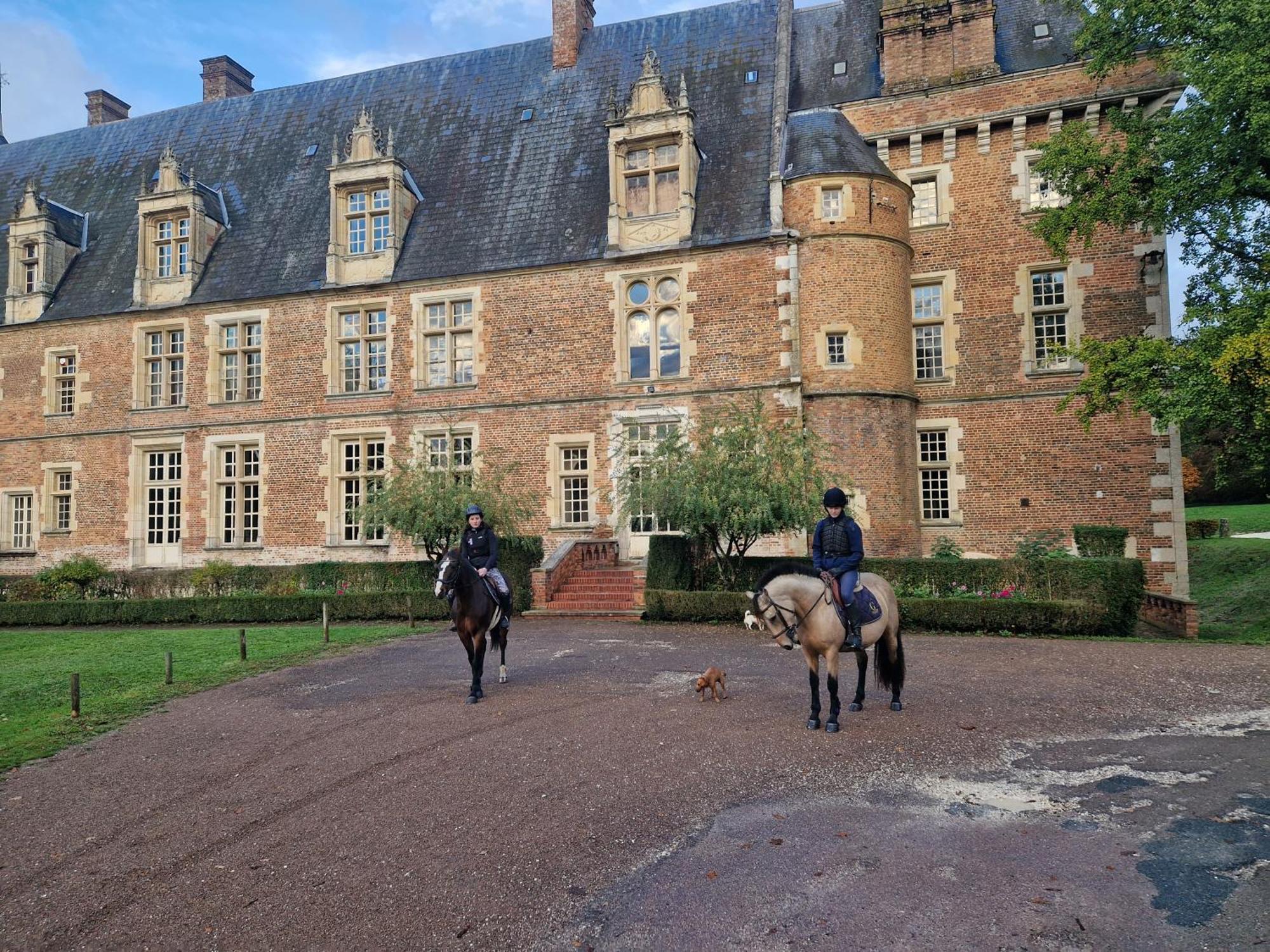 Saint-Amand-en-Puisaye Ferme Equestre & Chambres D'Hotes Gateau Stables Proche Guedelon المظهر الخارجي الصورة