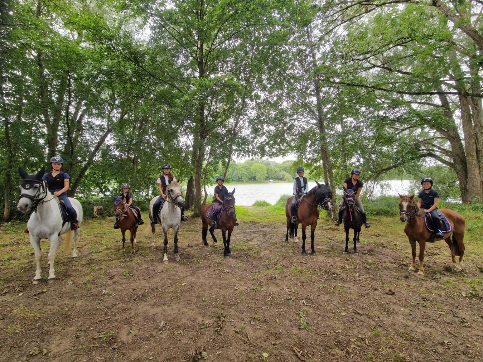 Saint-Amand-en-Puisaye Ferme Equestre & Chambres D'Hotes Gateau Stables Proche Guedelon المظهر الخارجي الصورة