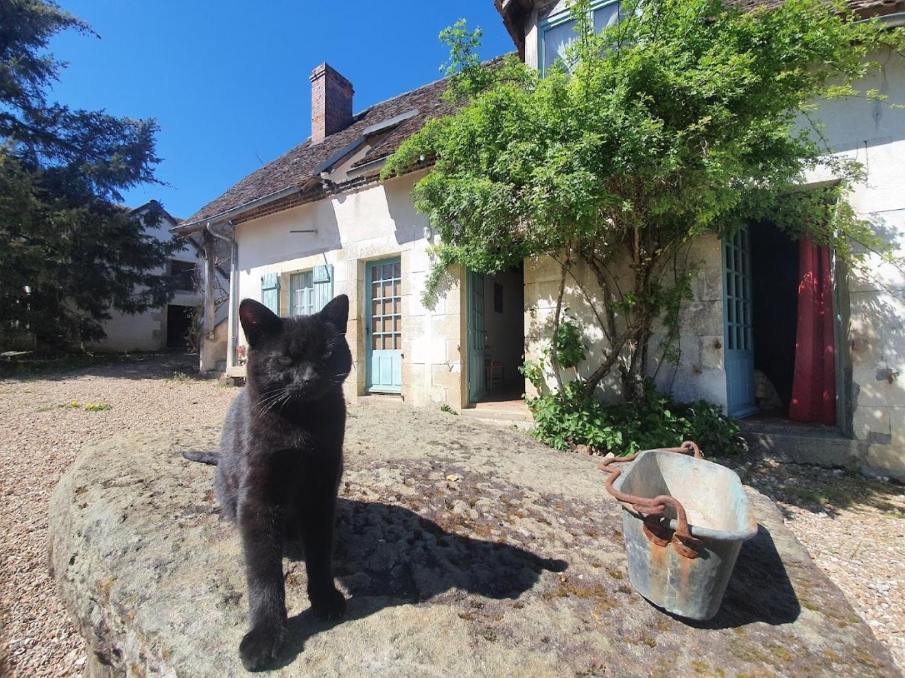 Saint-Amand-en-Puisaye Ferme Equestre & Chambres D'Hotes Gateau Stables Proche Guedelon المظهر الخارجي الصورة