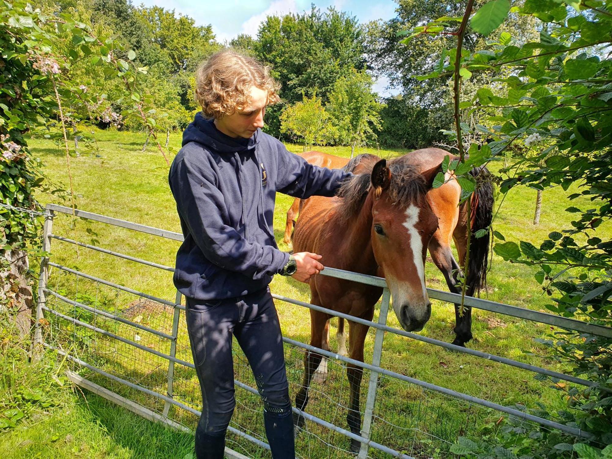 Saint-Amand-en-Puisaye Ferme Equestre & Chambres D'Hotes Gateau Stables Proche Guedelon المظهر الخارجي الصورة