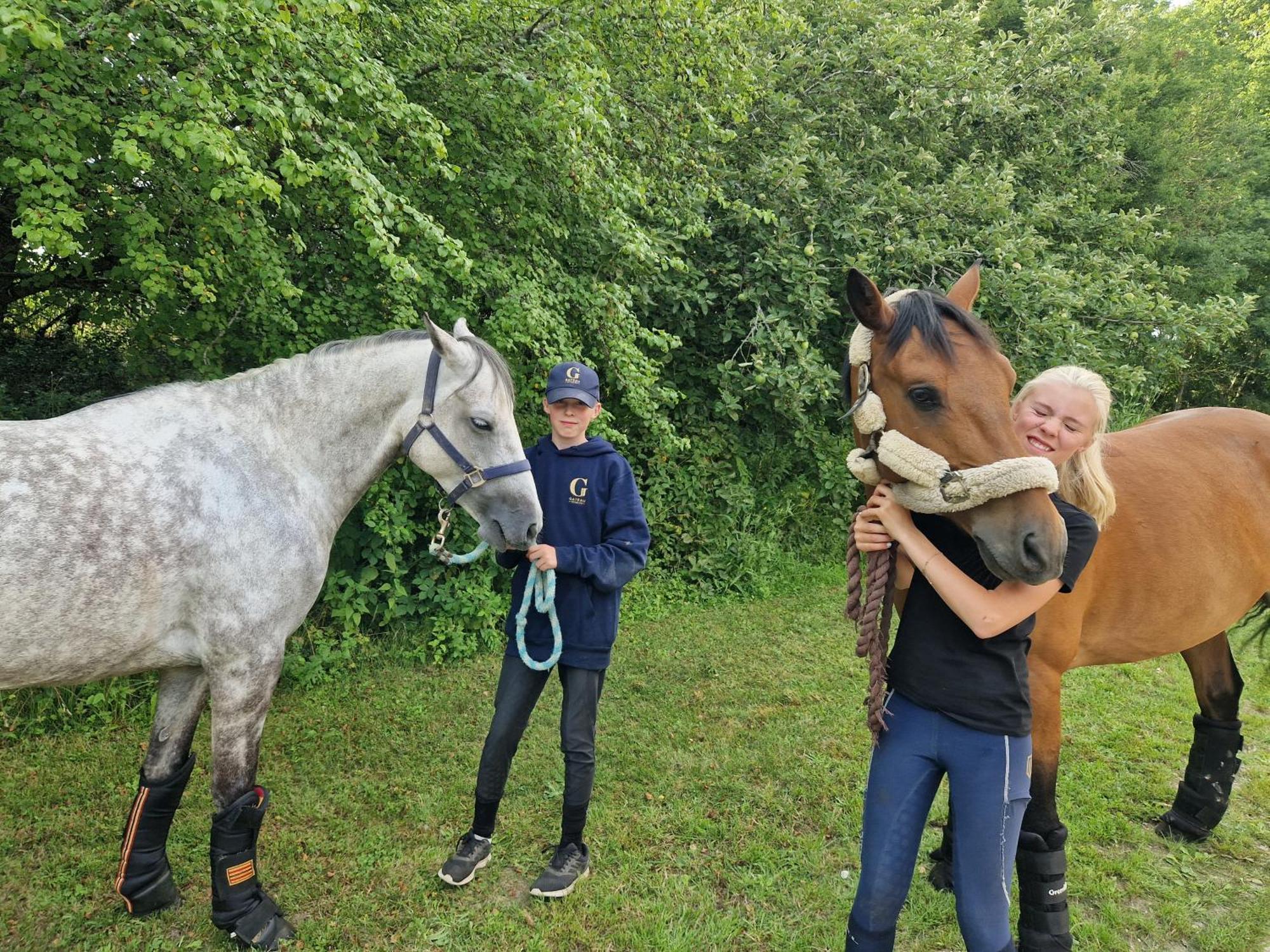 Saint-Amand-en-Puisaye Ferme Equestre & Chambres D'Hotes Gateau Stables Proche Guedelon المظهر الخارجي الصورة